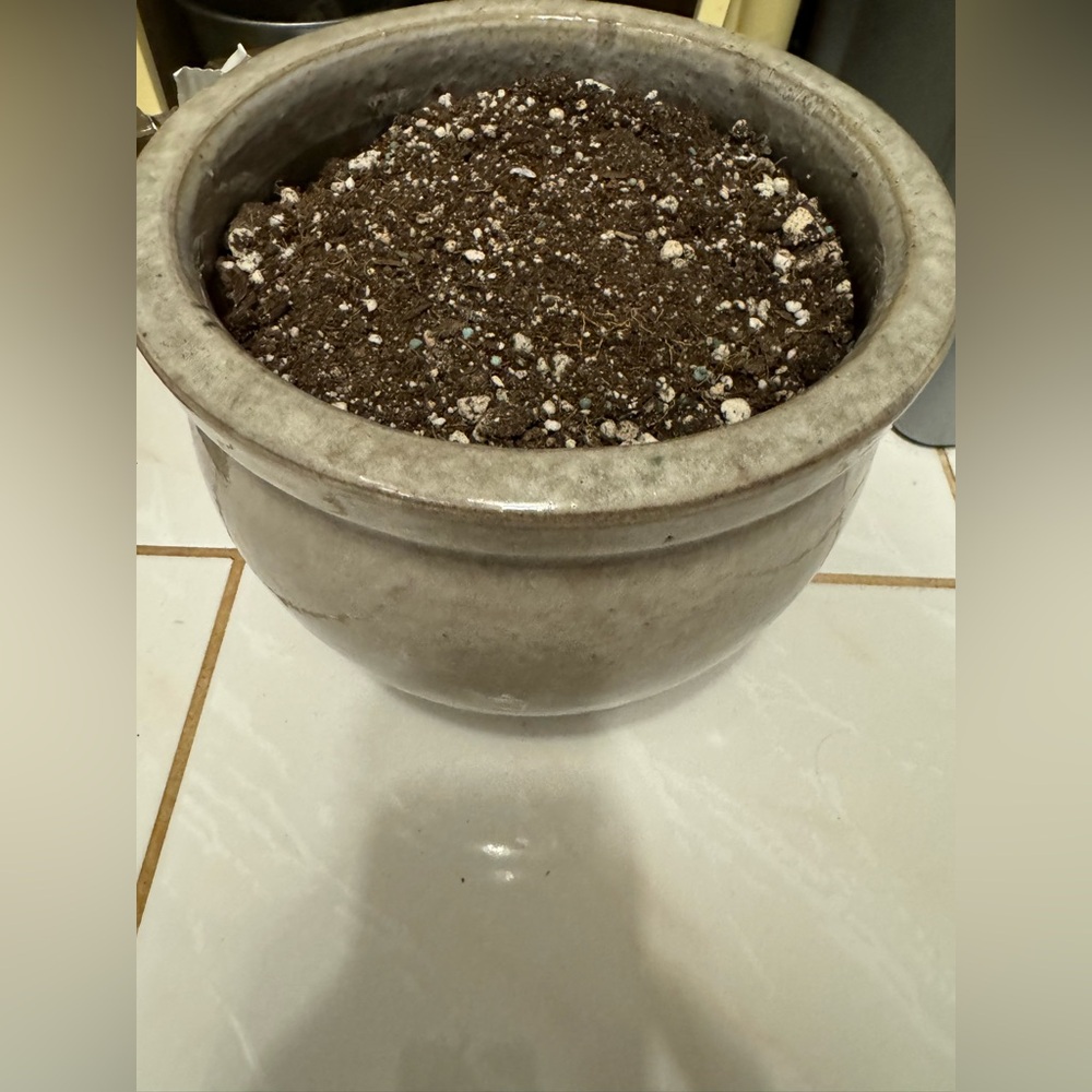 Glazed Plant Pot in Light Gray